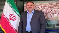مقدار 12هزارو 496 تن کودکشاورزی اوره در استان کرمان توزیع شده است